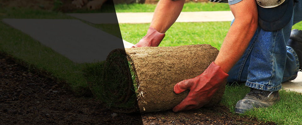 Lyford Landscapers